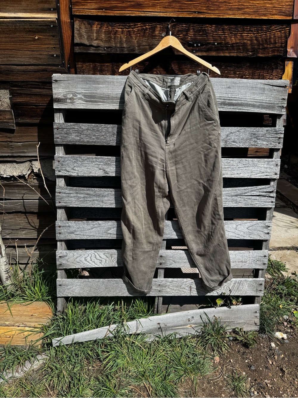 Everlane Olive Green Chino Pants